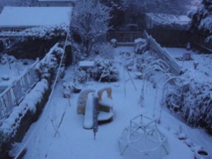 Carpet of snow on the garden